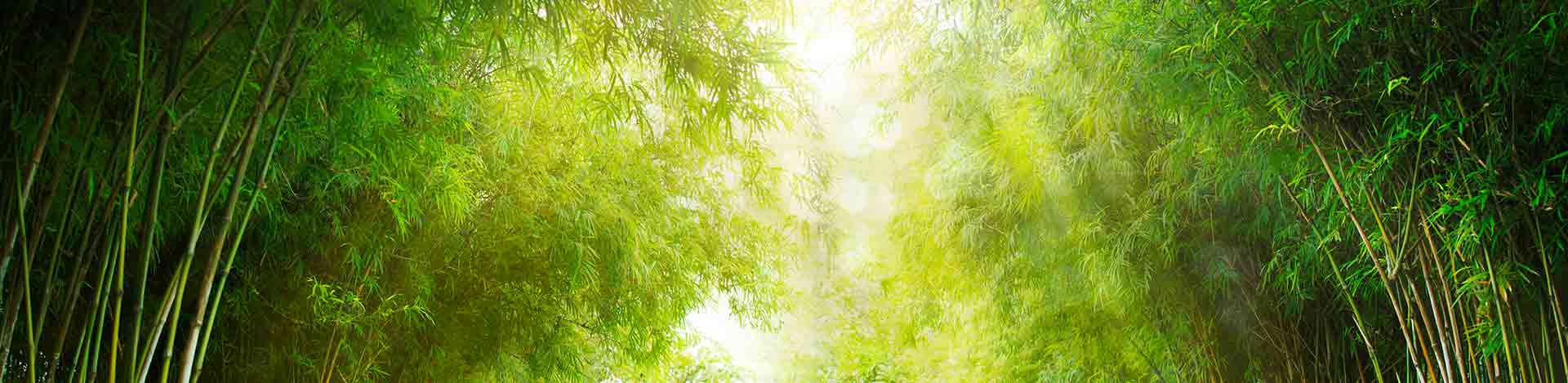 Maximise companies’ energy performance